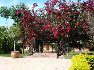Hotel Fazenda Do Bertione Miranda Exterior photo